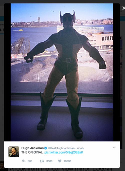 Wolverine
